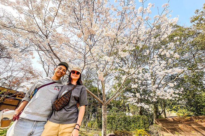 Hot Spring Beppu Onsen with Blue Hell cozy Tour by Car and walk