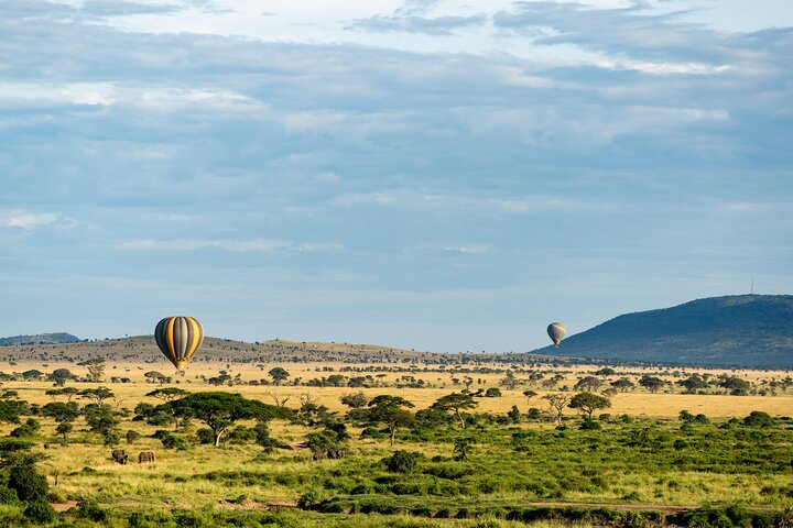 Serengeti Hot Air Balloon Flight with Champagne Breakfast