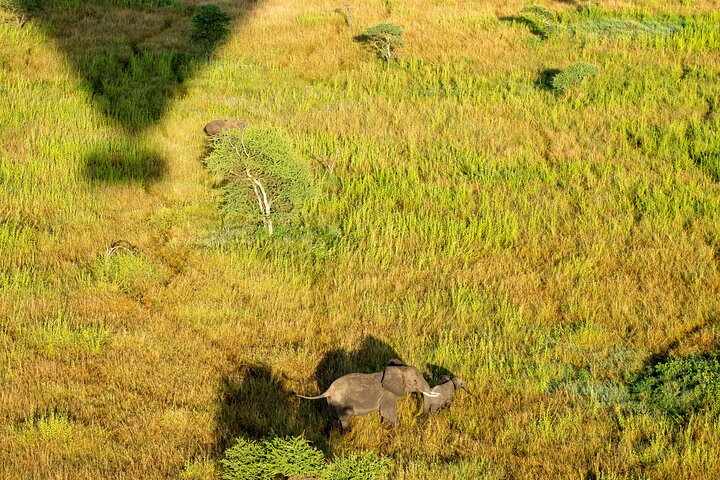 Serengeti Hot Air Balloon Flight with Champagne Breakfast