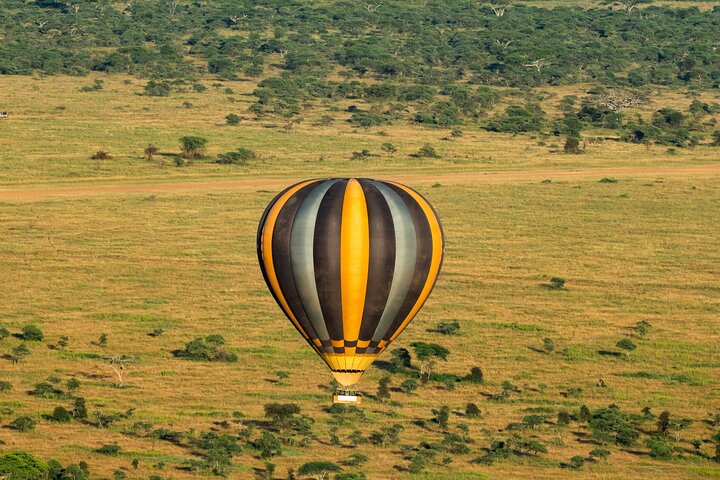 Serengeti Hot Air Balloon Flight with Champagne Breakfast