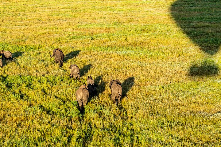 Serengeti Hot Air Balloon Flight with Champagne Breakfast