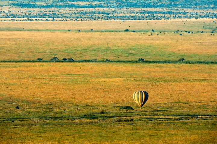 Serengeti Hot Air Balloon Flight with Champagne Breakfast