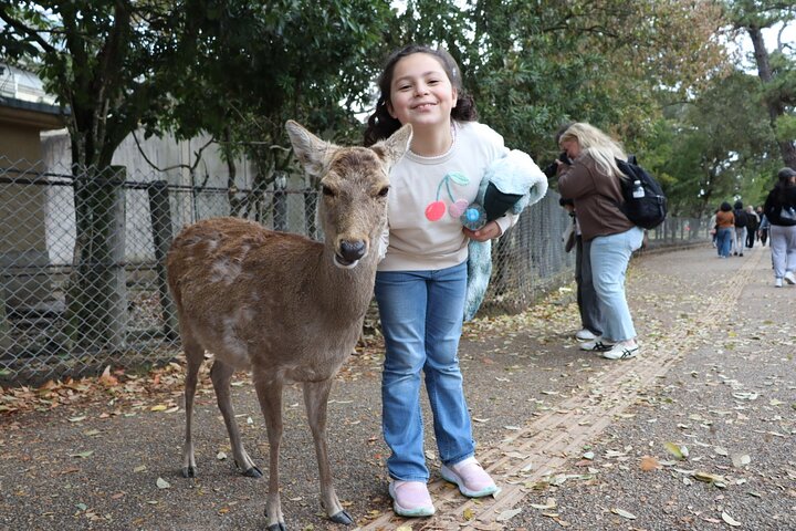 Private Nara Tour and Sake Tasting (Departing from Kyoto/Nara)