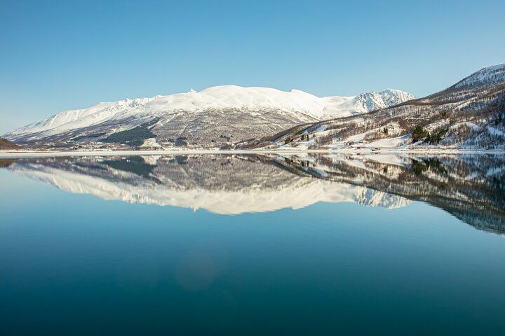 Tromsø: Arctic Fjord Cruise & Fishing Experience