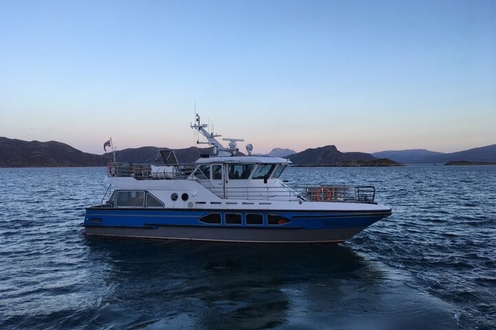 Tromsø: Arctic Fjord Cruise & Fishing Experience