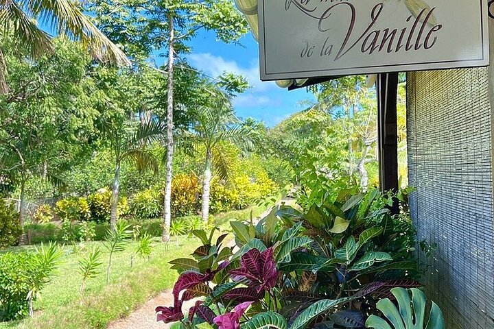 Mauritius Chamarel 7 Coloured Earth Private Holiday Tours