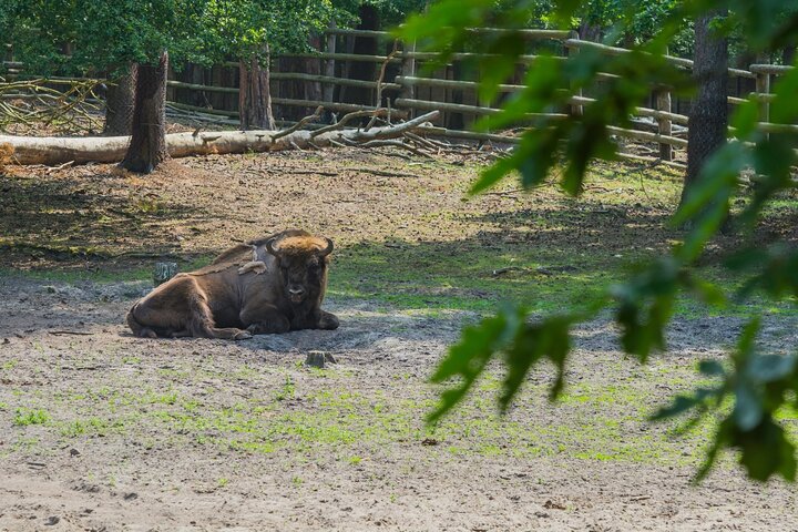 Szczecin Wolin National Park Private Guided Tour
