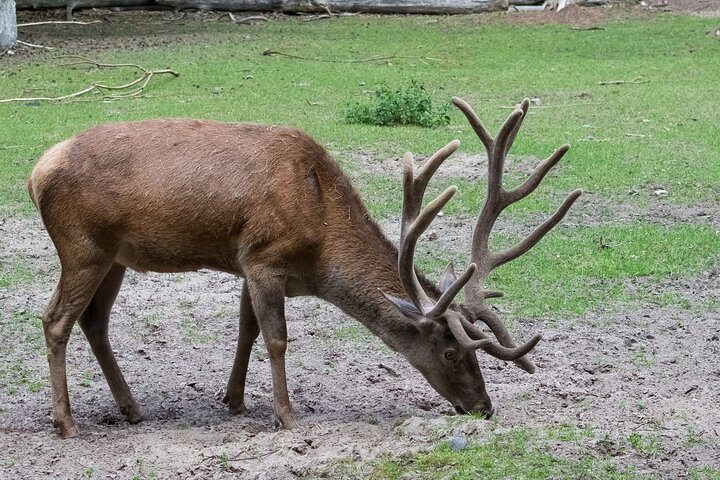 Szczecin Wolin National Park Private Guided Tour