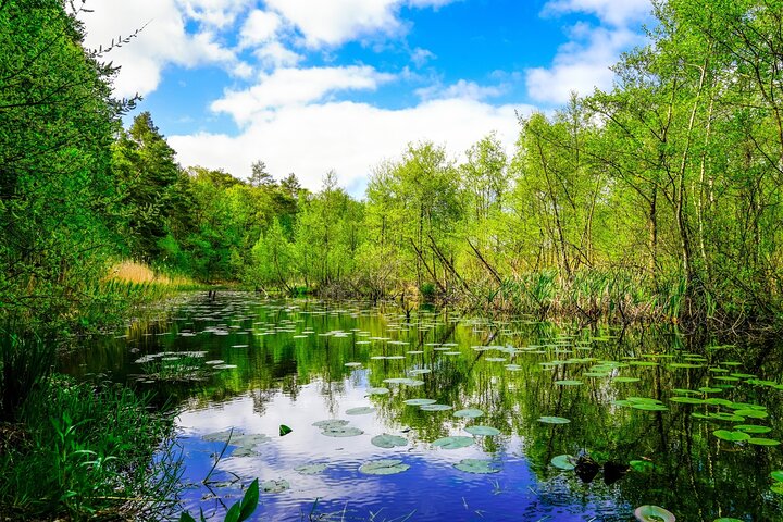 Szczecin Wolin National Park Private Guided Tour