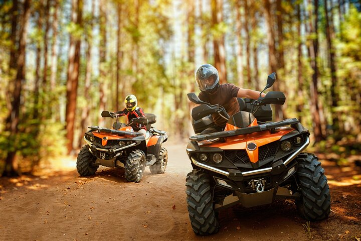 Ultimate ATV and Forest Adventure in Golden Sands