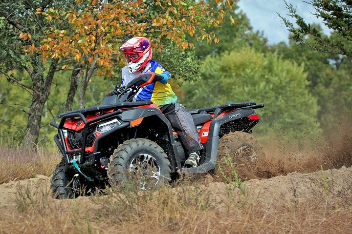 Ultimate ATV and Forest Adventure in Golden Sands