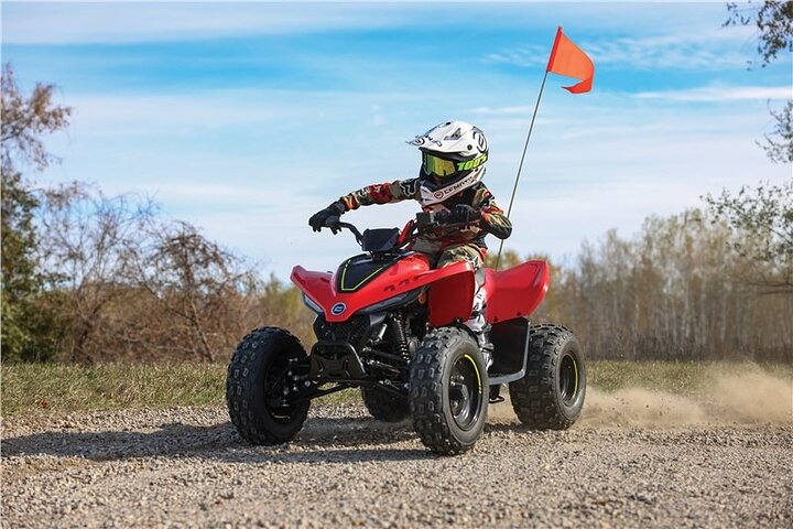 Ultimate ATV and Forest Adventure in Golden Sands