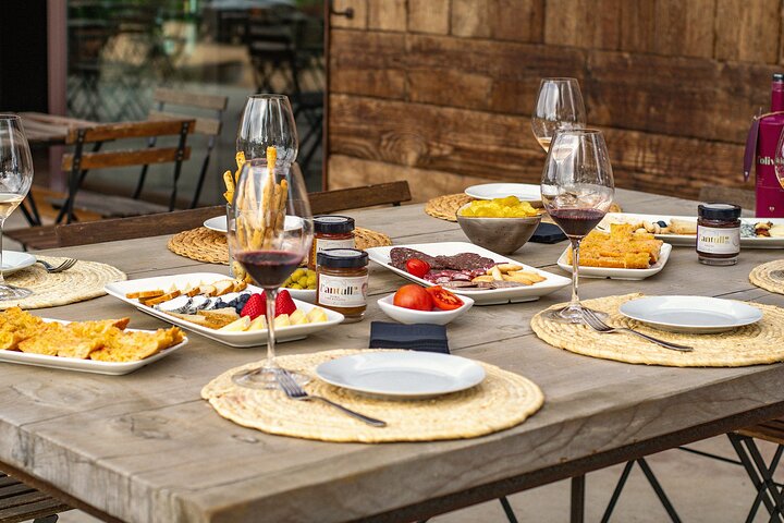 Vineyard walk and wine tasting in l’Empordà
