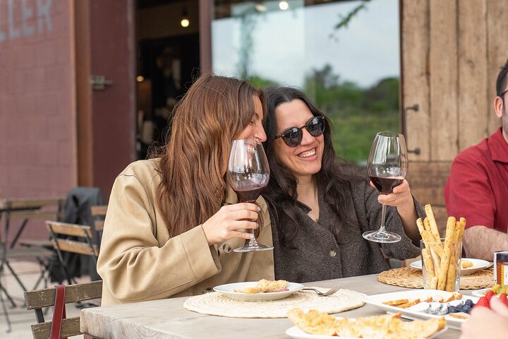 Vineyard walk and wine tasting in l’Empordà