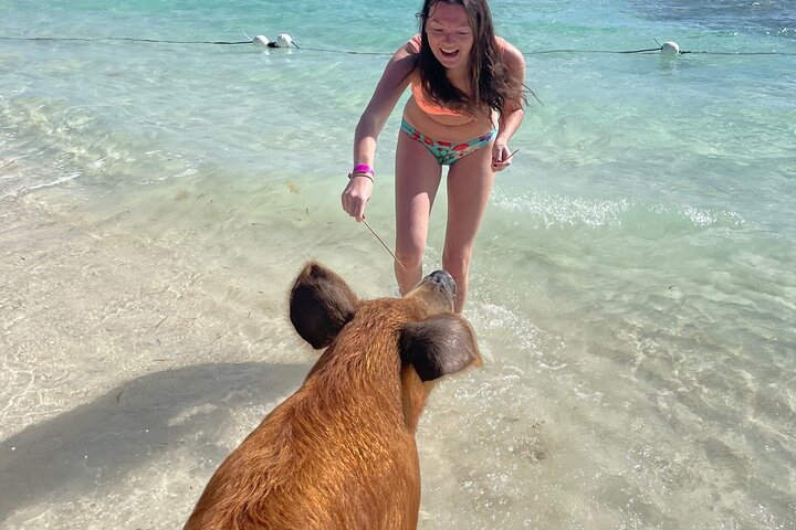Swim with the Pigs Freeport @Creative Eco Adventures