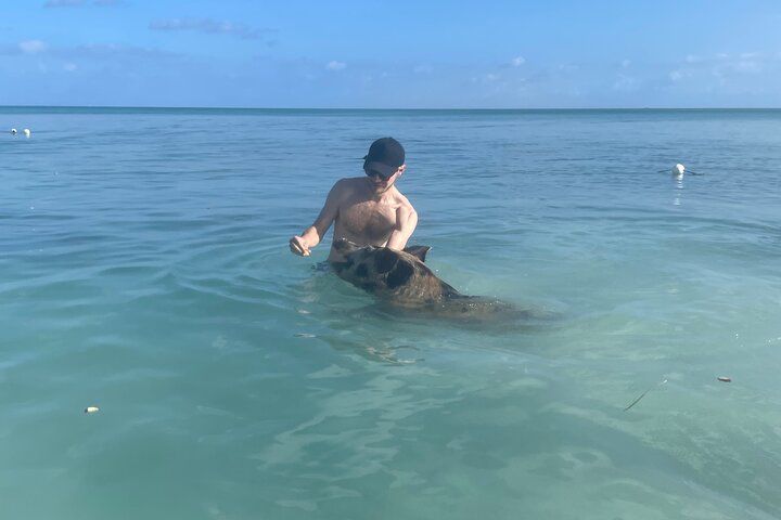 Swim with the Pigs Freeport @Creative Eco Adventures