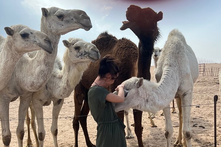 Discover Kuwait: Full-Day Landmarks Tour + Delicious Meal