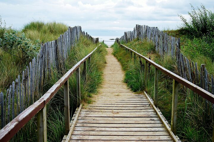 St Andrews: The Ultimate Bike and E Bike Tour - See Much More