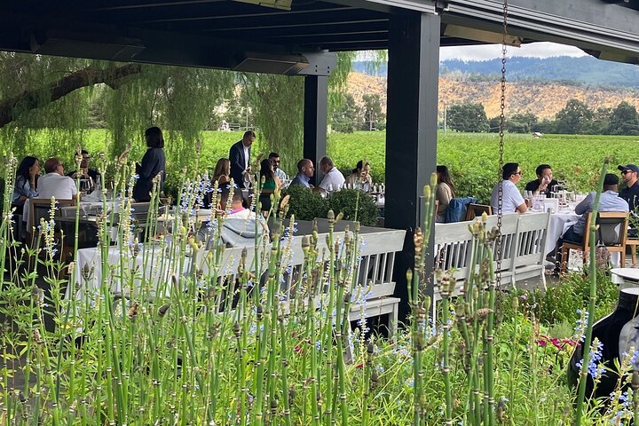 Fabulous Private Wine Tour of Napa & Sonoma: 2 to 5 People