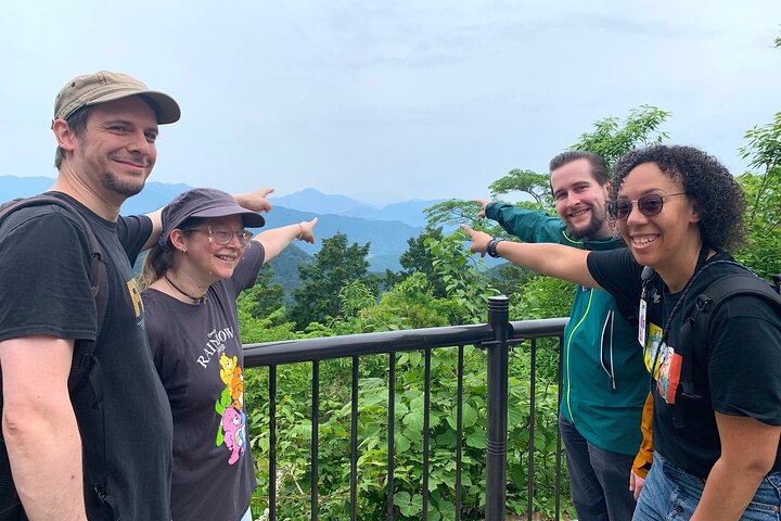 Full Day Hiking Tour at Mt.Takao including Hot Spring