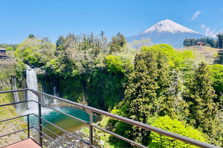 Hakone Private Car Sightseeing Tour