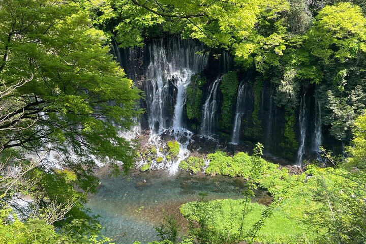 Hakone Private Car Sightseeing Tour
