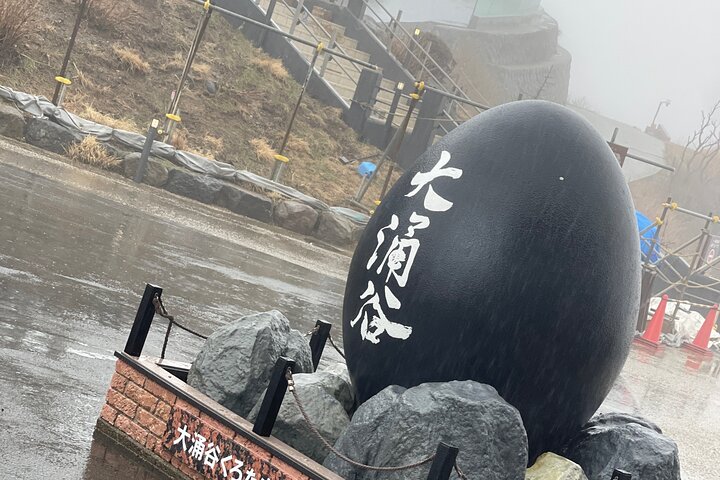 Hakone Private Car Sightseeing Tour