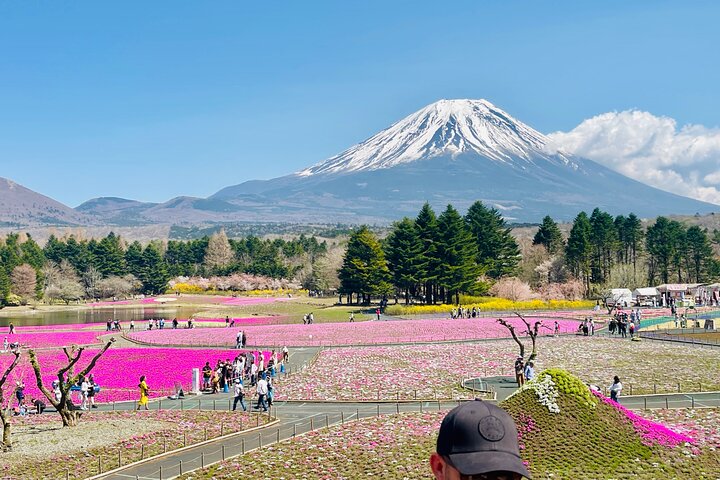 Hakone Private Car Sightseeing Tour