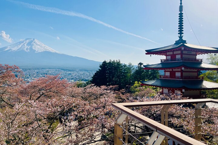 Hakone Private Car Sightseeing Tour