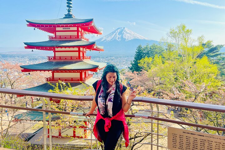 Hakone Private Car Sightseeing Tour
