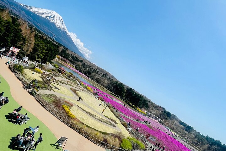 Hakone Private Car Sightseeing Tour