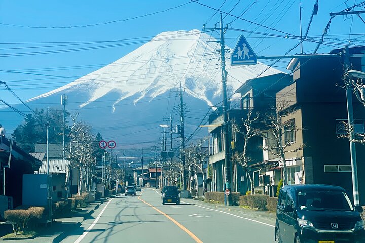 Hakone Private Car Sightseeing Tour