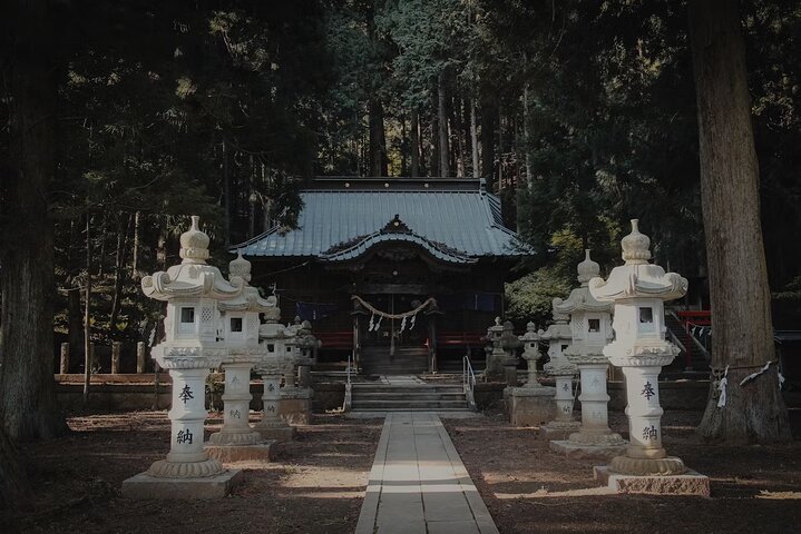Hakone Private Car Sightseeing Tour