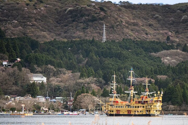 Hakone Private Car Sightseeing Tour