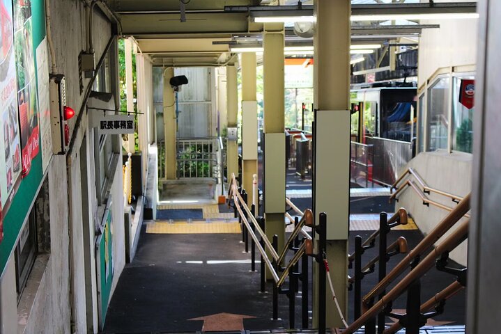 Hakone Private Car Sightseeing Tour