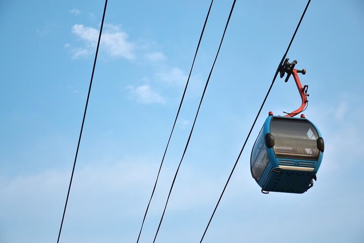 Hakone Private Car Sightseeing Tour