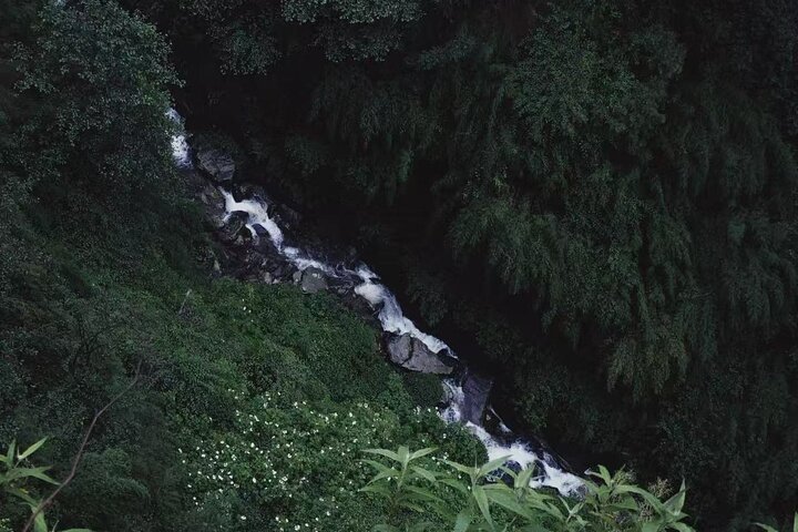 Cangshan Mountain hike and organic homemade dinner