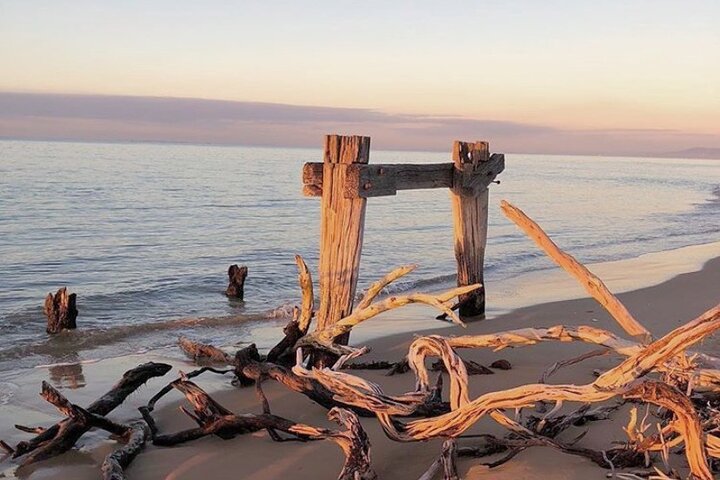 Mornington Peninsula: Self-Guided Bike Tour w E-Bike Option