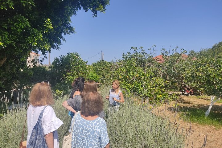 Kefalonia Fully Customizable Private Tour
