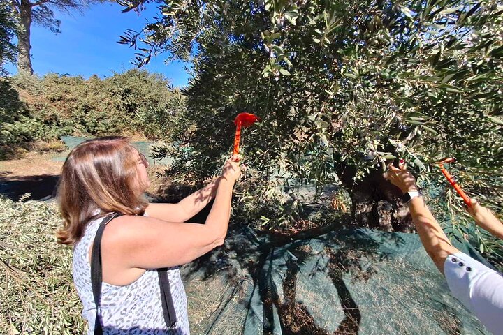 Kefalonia: Private Olive Oil, Honey & Wine Tasting Experience