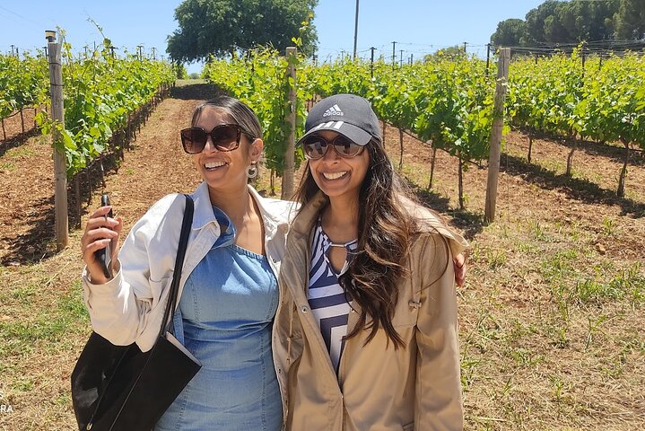 Kefalonia: Private Olive Oil, Honey & Wine Tasting Experience