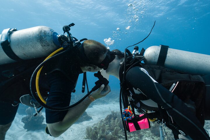 Side Scuba Diving for Beginners with Lunch and Transfers