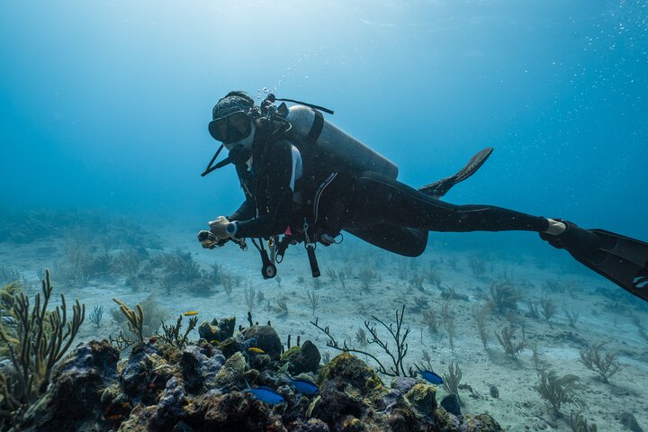 Side Scuba Diving for Beginners with Lunch and Transfers