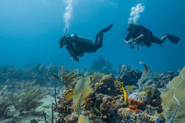 Side Scuba Diving for Beginners with Lunch and Transfers