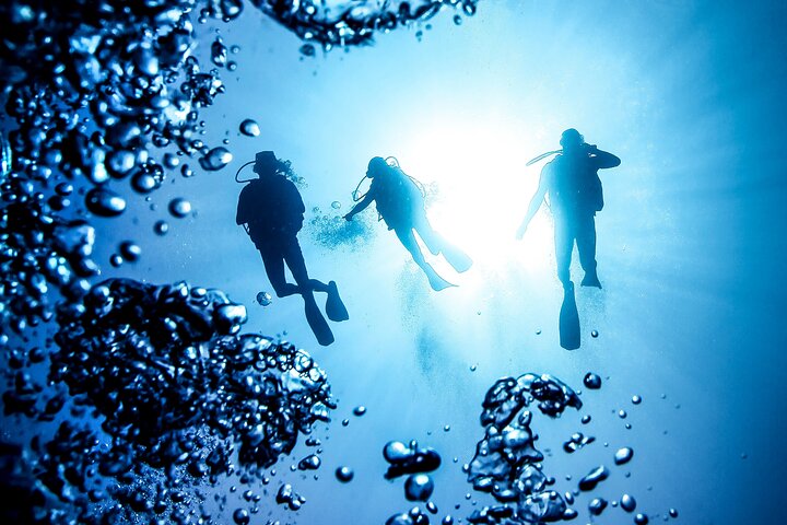 Side Scuba Diving for Beginners with Lunch and Transfers
