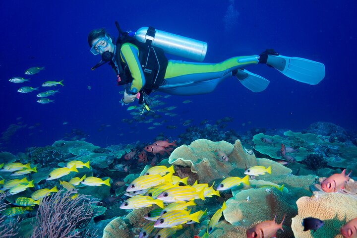 Side Scuba Diving for Beginners with Lunch and Transfers
