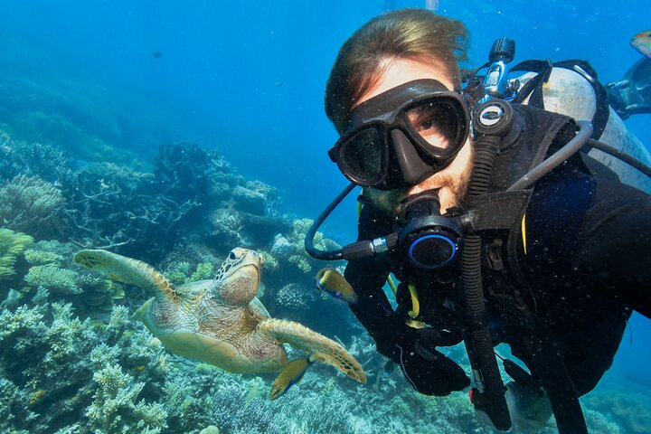 Side Scuba Diving for Beginners with Lunch and Transfers