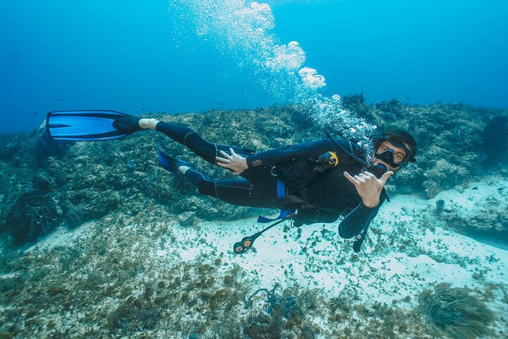 Side Scuba Diving for Beginners with Lunch and Transfers