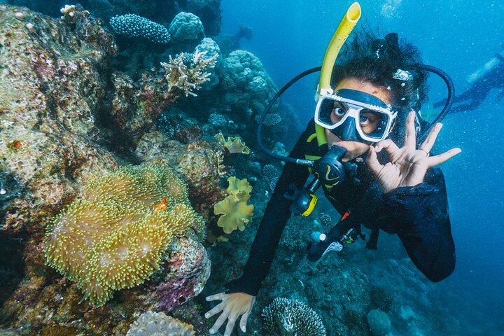 Side Scuba Diving for Beginners with Lunch and Transfers