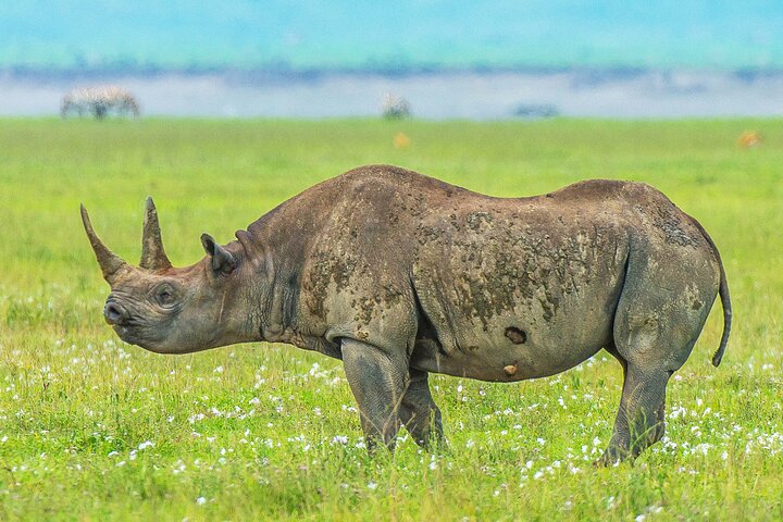 3-Day Serengeti and Ngorongoro Safari with Guide